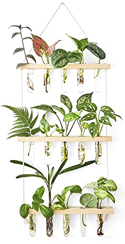 Mkono 3 Tiered Wall Hanging Plant Terrarium with Wooden Stand, Glass Planter for Hydroponic Plant Cutting, Home Garden Office Decor, Gift - color: Beige, size: Medium
