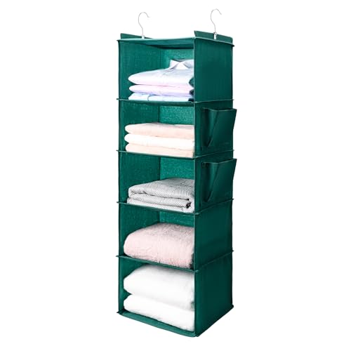 BOOMIBOO Hanging Closet Organize and Shelves，5-Hanging Shelf with 2 Side Pockets，Storage Foldable （Green） - color: Green, size: 1