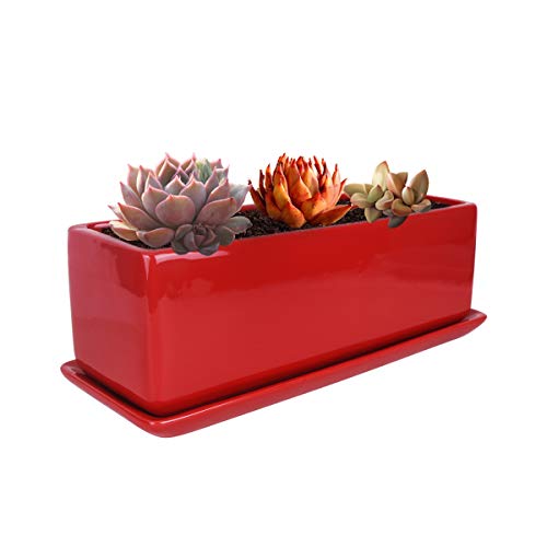 Vencer 12 Inch Rectangular Modern Minimalist Ceramic Succulent Planter Pot - Window Box with Saucer,Office Desktop Potted Stand,Red,VF-0135R - color: Red, size: 12 Inch