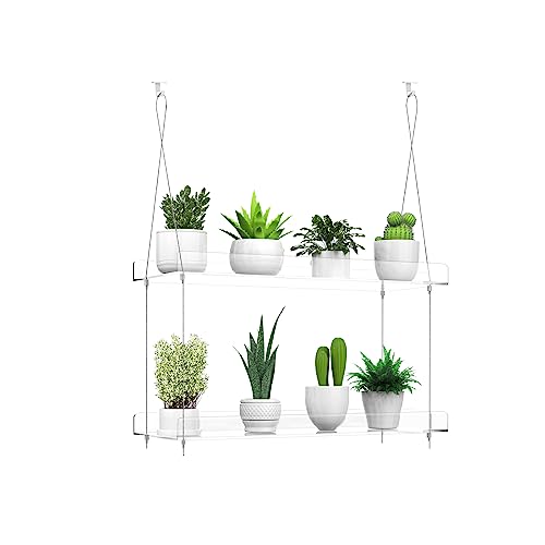2-Tier Hanging Clear Plant Shelves for Windows,16 Inch per Tier | Acrylic Window Wall Plant Stand Shelf for Kitchen Indoor Gardens, Flower,Herb, Seedling Organization, and Pots Display. - size: 2 Tier