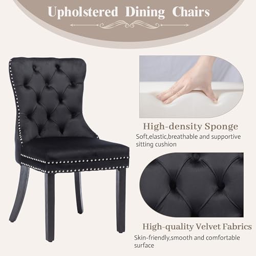 KCC Velvet Dining Chairs Set of 6, Upholstered High-end Tufted Dining Room Chair with Nailhead Back Ring Pull Trim Solid Wood Legs, Nikki Collection Modern Style for Kitchen, Black - color: Black, size: Set of 6