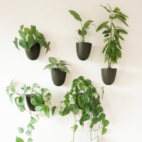Make Good PlantPod Luxe - Self-Watering Wall Planters (Set of 6, Forest Green) - Easy to Water and Install - Lightweight - Design Your Own Vertical Garden - Wall Planters for Indoor Plants - color: Forest Green