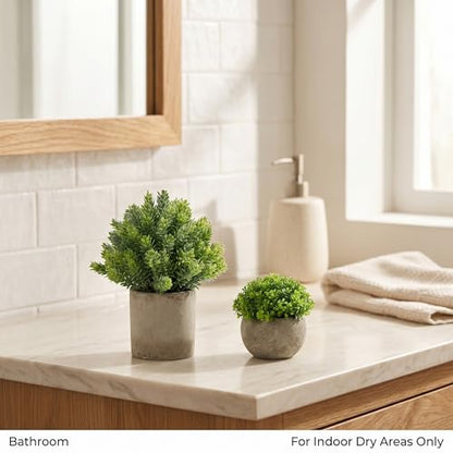 5 Pack Small Fake Plants with Cement Pots - Realistic Faux Greenery Set, No Watering Low Maintenance, UV Resistant Artificial Plants for Shelf Office Bathroom Desk Decor, Indoor & Outdoor