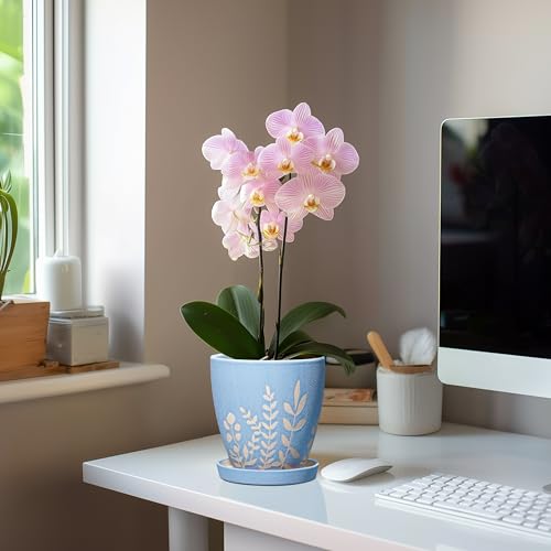 6 Inch Ceramic Plant Pot with Saucer - Small Flower Pot with Drainage for Succulents & Herbs, Boho Desk Home Office Room Decor, Plant Lovers Gifts, Blue - size: 6 Inch
