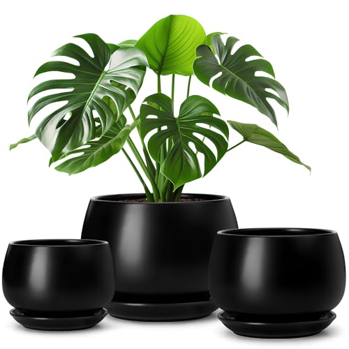 vancasso 3-Pack Ceramic Plant Pots, 3.7/4.8/6.2 Inch Indoor Planters with Saucers & Drainage Hole Planter pots for Indoor Plants and Flower, Black - color: Black, size: Small-3pcs/Set