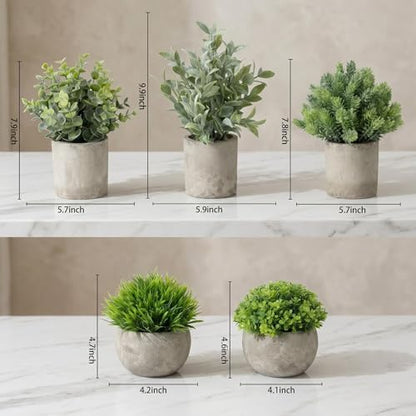 5 Pack Small Fake Plants with Cement Pots - Realistic Faux Greenery Set, No Watering Low Maintenance, UV Resistant Artificial Plants for Shelf Office Bathroom Desk Decor, Indoor & Outdoor