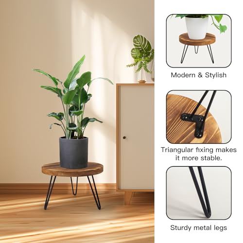 Plant Stand, Indoor/Outdoor Wooden Plant Stands, Mid-Century Plant Table Round Plant Stool for Large Plants , Single Plant Stand for Living Room, Balcony, Office