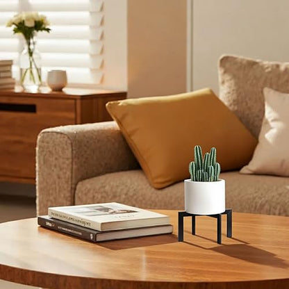 Mini Plant Stands 2-Pack, Small Metal Flower Pot Holder for Desktop, Modern Cross Shape Fit 2-6.5 Inch Pots, Succulent & Cactus Stand for Tabletop, Shelf, Indoor, Black - size: 2 Pack - Mini