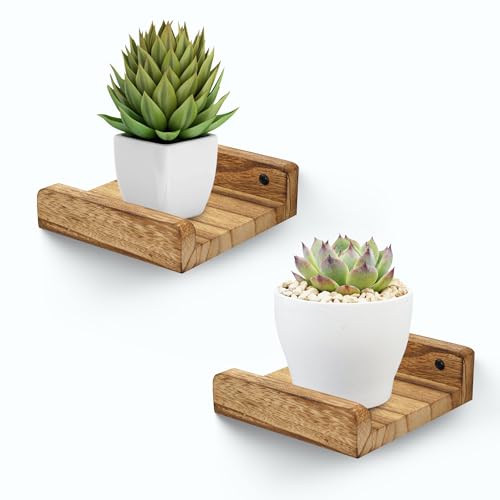 PHOENANCEE Small Wall Shelves,Mini Floating Shelf with Lip,Display Ledge,Speaker Shelf Set of 2 for Picture Frames Plants Decorative for Living Room Kitchen Bedroom,Wood,5 Inch,Carbonized Black - color: Carbonized Black, size: 5 Inch(2pcs)