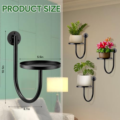 6 Pcs Hanging Planters for Indoor Plants Wall Plant Holder Indoor Wall-Mounted Planters Metal Decorative Shelf Space Saving for Windows Bedroom Living Room Kitchen Office Wall Decor