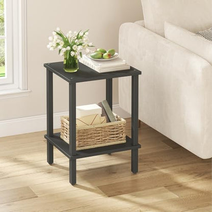 TUTOTAK End Table, Set of 2, Side Table, Nightstand, 2-Tier Storage Shelf, Sofa Table for Small Space, Living Room, Bed Room TB01BK035 - color: Black
