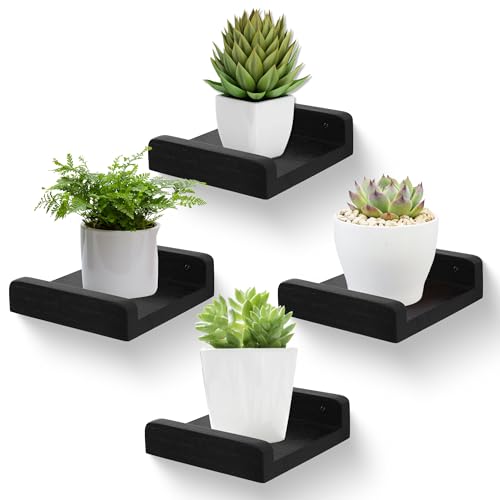 PHOENANCEE Small Floating Shelf,Mini Wall Shelves with Lip,Display Ledge,Speaker Shelf Set of 4 for Picture Frames Plants Decorative for Living Room Kitchen Bedroom,Wood,5 Inch,Black - color: Black, size: 5 Inch(4pcs)