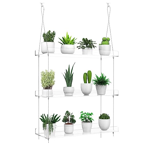 3-Tier Hanging Clear Plant Shelves for Windows, 16 Inch per Tier | Acrylic Window Wall Plant Stand Shelf for Kitchen Indoor Gardens, Flower, Herb, Seedling Organization, and Pots Display. - size: 3 Tier