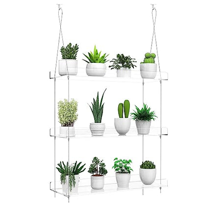 3-Tier Hanging Clear Plant Shelves for Windows, 16 Inch per Tier | Acrylic Window Wall Plant Stand Shelf for Kitchen Indoor Gardens, Flower, Herb, Seedling Organization, and Pots Display. - size: 3 Tier