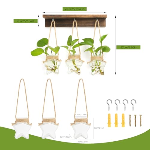 XXXFLOWER Wall Hanging Propagation Station with 3 Star-Shaped Glass Vase | Hanging Plant Holder for Hydroponics, Living Room Office Bathroom Wall Decoration, Unique Gardening Gifts for Plant Lover - size: 3 Star-Shaped Glass Vases