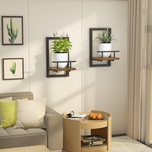 2-Pack Floating Shelves for Indoor Plants, Wall Mounted Storage Shelves for Bedroom, Living Room, Kitchen, Office, Bathroom Decor