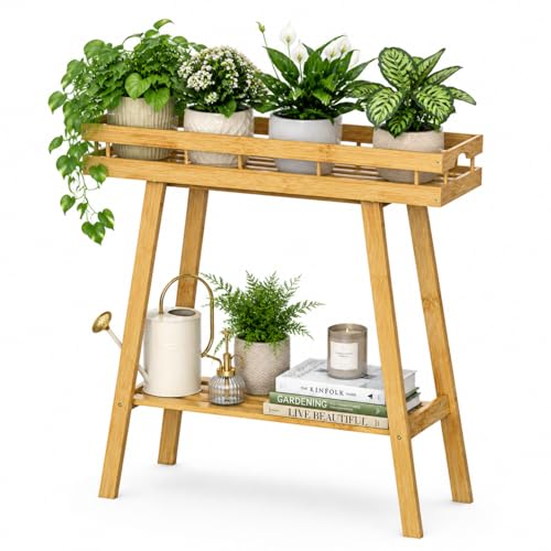 BAMBANG Bamboo Plant Stand Indoor, 2 Tier Small Plant Table, Tall Plant Stand for Indoor Plants, Window Sill Plant Shelf, Flower Pot Holder Plant Bench Plant Rack for Living Room, Natural - color: Bamboo