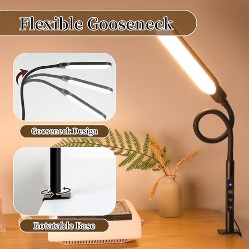 BQAN LED Desk Lamp with Clamp 15W Eye-Caring Clip on Light for Home Black | 5 Modes & 9 Brightness | Adjustable Gooseneck | Touch Dimmer | Clamp Desk Design | For Reading, Study, Nail Art, Work - color: Black