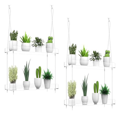 2-Pack Hanging Clear Plant Shelves for Windows,16 Inch per Tier | Acrylic Window Wall Plant Stand Shelf for Kitchen Indoor Gardens, Flower, Herb, Seedling Organization, and Pots Display. - size: 2 Pack-2 Tier