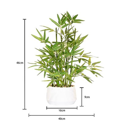 365 Blooming Decor 18 inch Tall White Potted Artificial Bamboo Plant- Luxury Artificial Bamboo Tree in White Pot for Home, Office, Kitchen, Counter Top, Indoor Decor, Money Tree, Lucky Tree.