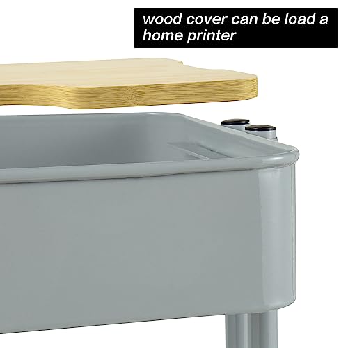 PUNP 2 Tier Rolling Cart，Metal Utility Cart with Wheels and Cover for Office Home Kitchen Organization - color: Dark Grey