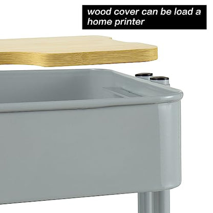 PUNP 2 Tier Rolling Cart，Metal Utility Cart with Wheels and Cover for Office Home Kitchen Organization - color: Dark Grey