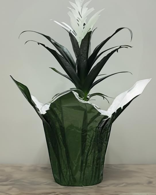 Premium 4.5" Floral foil Plant Pot Covers - 5 Units (Metallic Gold)