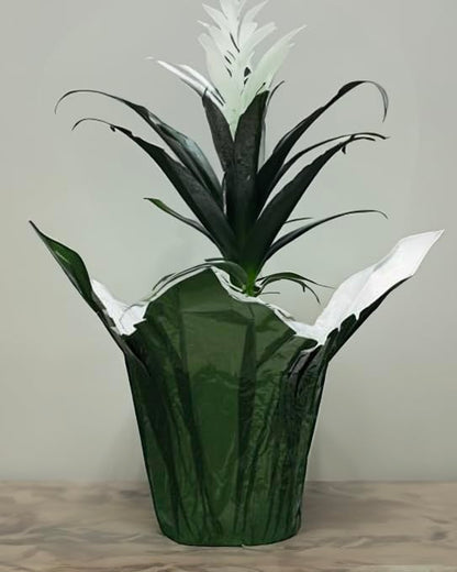 Premium 4.5" Floral foil Plant Pot Covers - 5 Units (Metallic Gold)