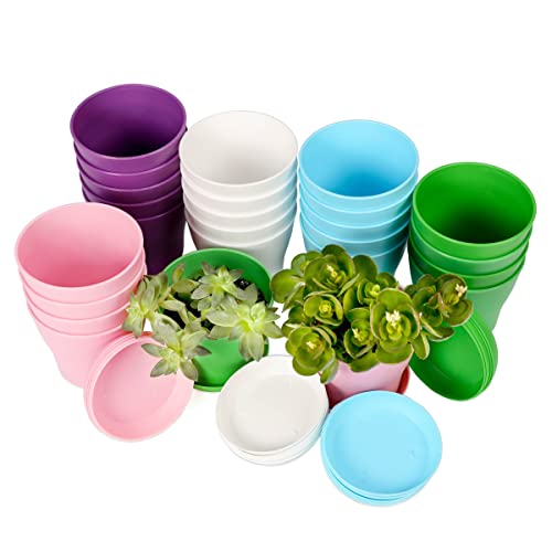 TDHDIKE 10 Pcs Plastic Planters Indoor Flower Plant Pots, Mini Flower Seedlings Nursery Pot/Planter/Flower Pot with Pallet, Modern Decorative Gardening Containers (5color 25) - color: 5color 25