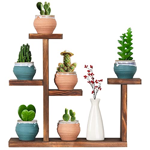 Wooden Tabletop Plant Stand - 5 Tier Succulent Plant Holder Decorative Planter Holder, Small Desktop Flower Pot Rack Shelf for Decoration Living Room Home Office Windowsill