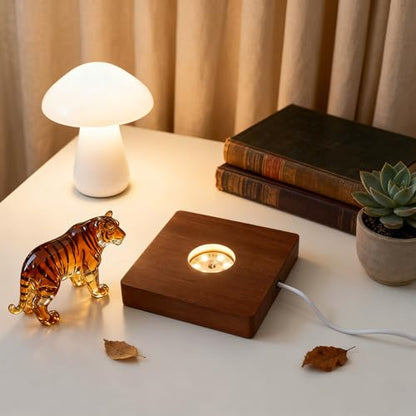 Wooden LED Light Base Display Lighted Base for Crystals - Brown Square Wood Display Lighted Bases Pedestal Stand for Room Office Home Decor