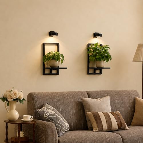 Wall Planters with Grow Lights, Set of 2 Indoor Hanging Shelves for Bedroom, Living Room, Bathroom, Kitchen, Entryway, Black (2, Black) - color: Black