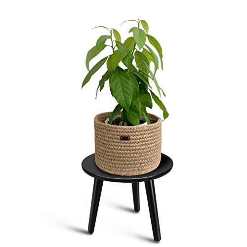 Uneedem Indoor Plant Stand, Modern Plant Table 8.9" Tall Wood Mid Century Flower Holder Small Round Side End Table - color: Black, size: 8.9"