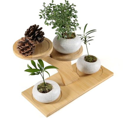 Window Sill Plant Shelf，Desk Desktop Bamboo Plant Stand， Table Succulent Plant Stand for Home, Office, Living Room, Bedroom Decoration