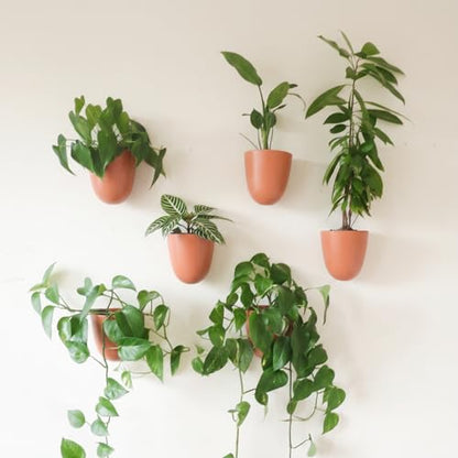 Make Good PlantPod Luxe - Self-Watering Wall Planters (Set of 6, Terracotta) - Easy to Water and Install - Lightweight - Design Your Own Vertical Garden - Wall Planters for Indoor Plants - color: Terracotta