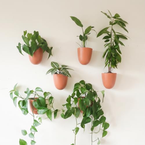Make Good PlantPod Luxe - Self-Watering Wall Planters (Set of 6, Terracotta) - Easy to Water and Install - Lightweight - Design Your Own Vertical Garden - Wall Planters for Indoor Plants - color: Terracotta
