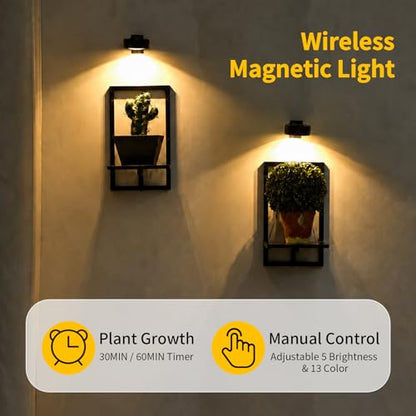Wall Planters with Grow Lights, Set of 2 Indoor Hanging Shelves for Bedroom, Living Room, Bathroom, Kitchen, Entryway, Black (2, Black) - color: Black