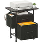 DUMOS 2 Drawer Mobile File Cabinet, Printer Stand with 24'' Wide Desktop | Fabric Drawer Cabinet Under Desk with Storage Side Bag,Rolling Printer Cart Not for Hanging Files for Home Office, Black - color: Classic Black