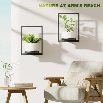 Hanging Planters for Indoor Plants - Aesthetic Photo Frame Style Wall Plant Holder - Metal Window Plant Shelves, Wall Plant Hanger for Lingving Room Home Gardening Wall Decor (3-Pack) - size: 3-Pack