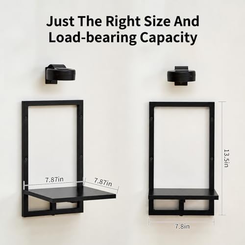 Wall Planters with Grow Lights, Set of 2 Indoor Hanging Shelves for Bedroom, Living Room, Bathroom, Kitchen, Entryway, Black (2, Black) - color: Black