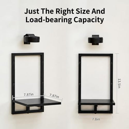 Wall Planters with Grow Lights, Set of 2 Indoor Hanging Shelves for Bedroom, Living Room, Bathroom, Kitchen, Entryway, Black (2, Black) - color: Black