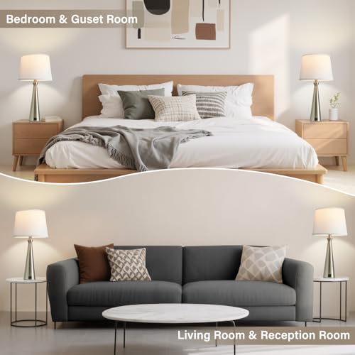 Seealle Modern Table Lamps Set of 2 - Touch Bedside Lamp for Nightstand with Dual USB C+A,3-Way Dimmable Silver Nightstand Lamps for Living Room Bedroom End Table with White Shade(Bulb Included) - color: C. Silver-White