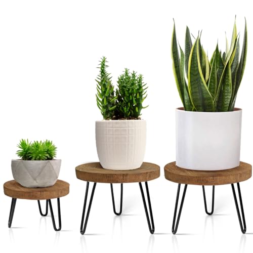 Plant Stand Indoor Outdoor, Wooden plant Stool, Mid Century Plant Stand for Indoor Plants, Wood Modern Plant Holder Rattan Flower, Low Short Boho Rustic Planter Stand Fit 5-15 Inch Pot(S,M,L) 3Pack - color: Dark Brown, size: Small, Medium & Large (3-Pack)