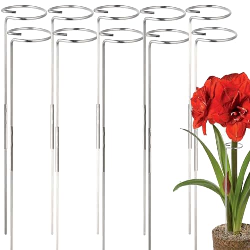 30 Inch Or 16 InchPlant Stakes for Flowers - 10 Pack, Adjustable Height | Stainless Steel Garden Tall Single Stem Support Stake Plant Cage Support Rings Fit Flowers, Plant Stable - color: Silvery-10