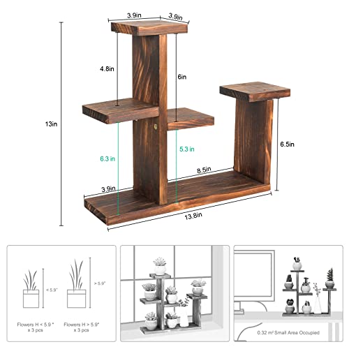 Wooden Tabletop Plant Stand - 5 Tier Succulent Plant Holder Decorative Planter Holder, Small Desktop Flower Pot Rack Shelf for Decoration Living Room Home Office Windowsill