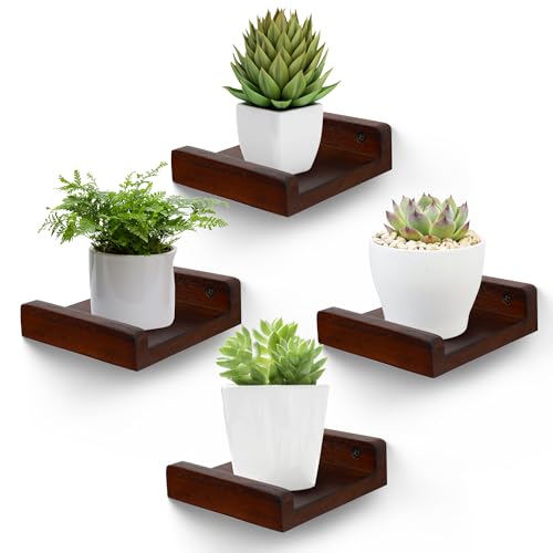 PHOENANCEE Small Floating Shelf,Mini Wall Shelves with Lip,Display Ledge,Speaker Shelf Set of 4 for Picture Frames Plants Decorative for Living Room Kitchen Bedroom,Wood,5 Inch,Walnut - color: Walnut, size: 5 Inch(4pcs)