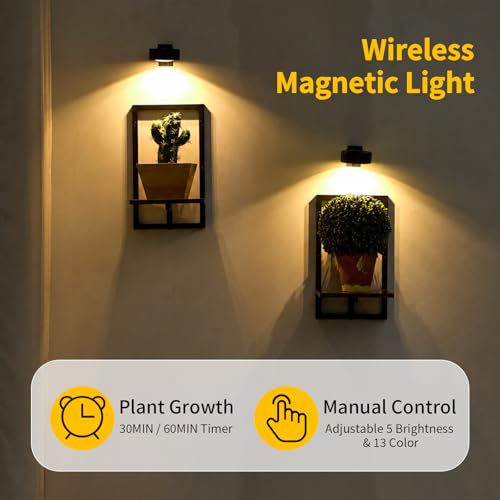 Floating Shelves for Plants with Grow Lights, Remote Control Indoor Plant Holder Stand for Bedroom, Living Room, Bathroom, Kitchen, Rustic Brown (2, Rustic Brown) - color: Rustic Brown