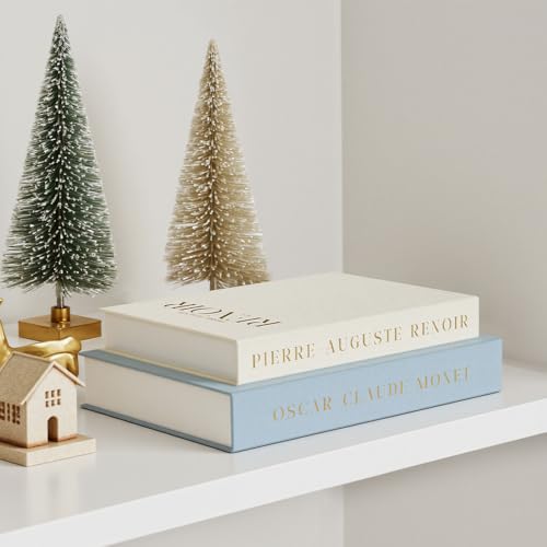 Aesthetic Decorative Books - Set of 2 Linen Fake/Faux Books Enhance Your Bookshelf, Coffee Table, Living Room, Bedside Table or Mantle, Stackable Modern Home Decor, Photo Storage and as a Keepsake Box - color: Light Blue - Beige