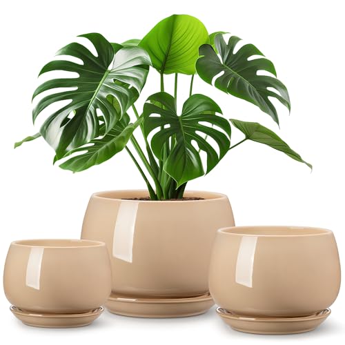 vancasso 3-Pack Ceramic Plant Pots, 7.3/9.6/11.6 Inch Indoor Planters with Saucers & Drainage Hole Planter pots for Indoor Plants and Flower, Brown - color: Brown, size: Large-3pcs/Set