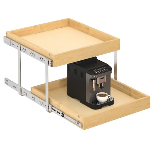 WelFurGeer 2-Tier Pull Out Cabinet Organizer with Soft Close Slides, Heavy-Duty Pull Out Drawers for Cabinets, Slide Out Shelf for Kitchen, Bathroom, Pantry & Under Sink, Solid Birch Wood - color: 2 Tiers, size: 20''W x22''D